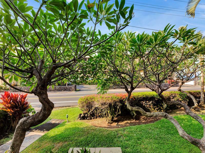 Castle Kona Bali Kai A Condominium Resort Holualoa Eksteriør billede